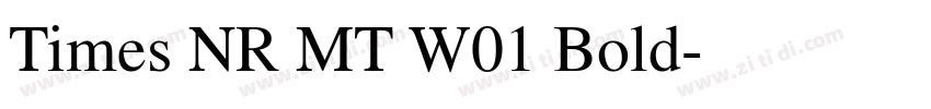 Times NR MT W01 Bold字体转换 Times NR MT W01 Bold字体转换